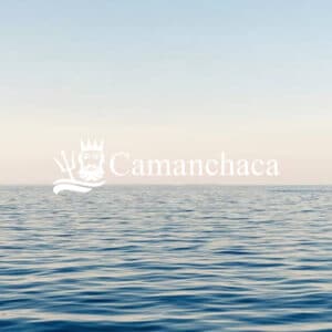 Camanchaca: Revisión y formalización de la Estrategia Corporativa de Negocios.