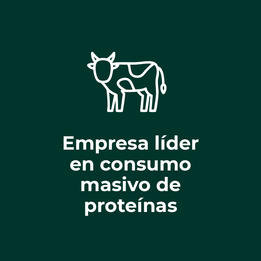 Gobierno Corporativo y Modelo de Negocios